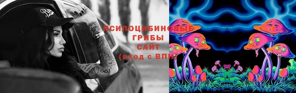 прущая мука Горно-Алтайск